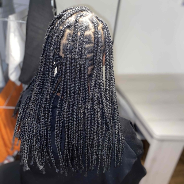 salon de coiffure afro tresse tresses box braids crochet braids vanilles tissages paris 75 77 78 91 92 93 94 95 UKYDIXDU