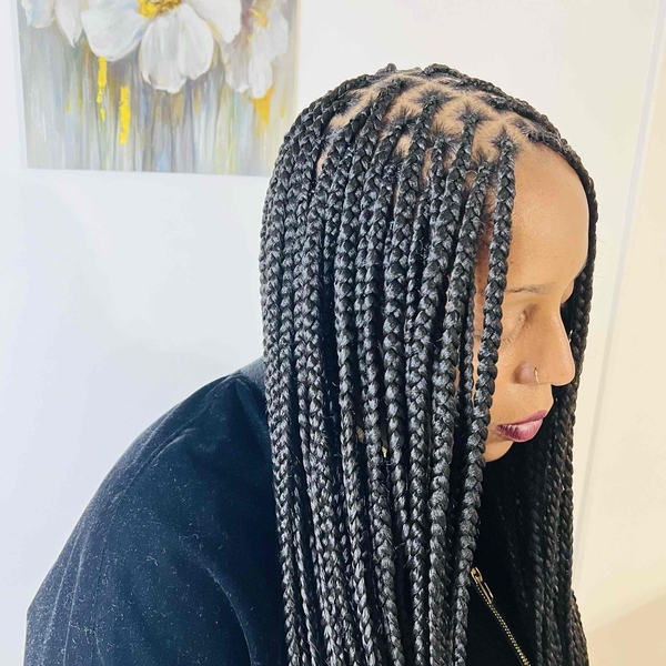 salon de coiffure afro tresse tresses box braids crochet braids vanilles tissages paris 75 77 78 91 92 93 94 95 WRBHDRVW