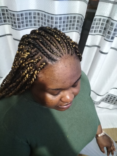 salon de coiffure afro tresse tresses box braids crochet braids vanilles tissages paris 75 77 78 91 92 93 94 95 ZAEEGWDJ