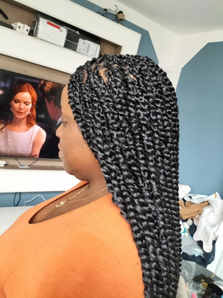 salon de coiffure afro tresse tresses box braids crochet braids vanilles tissages paris 75 77 78 91 92 93 94 95 VNOHRPFL