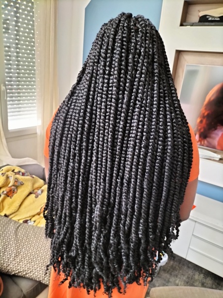 salon de coiffure afro tresse tresses box braids crochet braids vanilles tissages paris 75 77 78 91 92 93 94 95 ASPANGAF