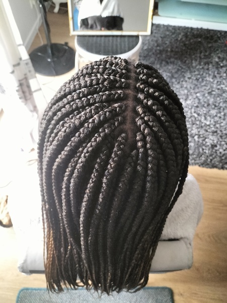 salon de coiffure afro tresse tresses box braids crochet braids vanilles tissages paris 75 77 78 91 92 93 94 95 BKNXJZLM