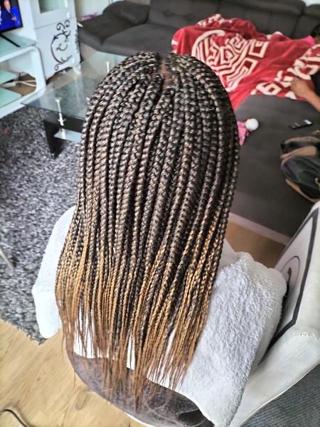 salon de coiffure afro tresse tresses box braids crochet braids vanilles tissages paris 75 77 78 91 92 93 94 95 WRCHJQNN