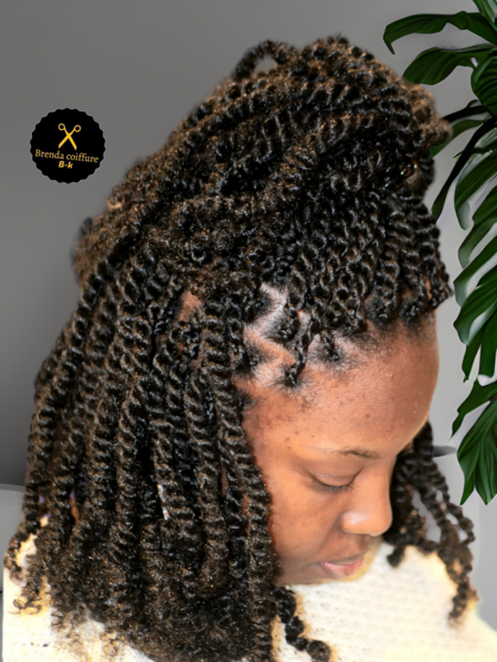 salon de coiffure afro tresse tresses box braids crochet braids vanilles tissages paris 75 77 78 91 92 93 94 95 FHVNZUGT