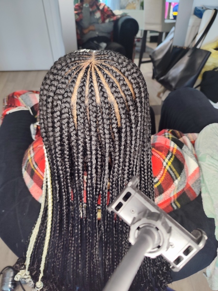 salon de coiffure afro tresse tresses box braids crochet braids vanilles tissages paris 75 77 78 91 92 93 94 95 OFODGBMC