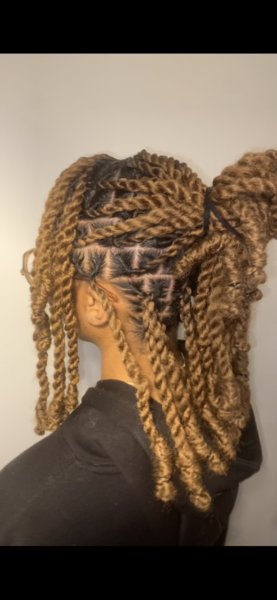 salon de coiffure afro tresse tresses box braids crochet braids vanilles tissages paris 75 77 78 91 92 93 94 95 GKAXJLSA
