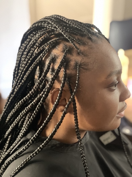 salon de coiffure afro tresse tresses box braids crochet braids vanilles tissages paris 75 77 78 91 92 93 94 95 JSHXGDTL