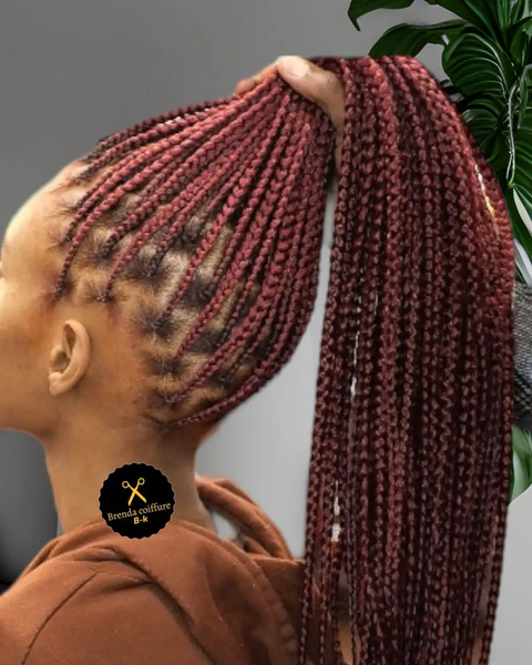 salon de coiffure afro tresse tresses box braids crochet braids vanilles tissages paris 75 77 78 91 92 93 94 95 PKFQRZQA