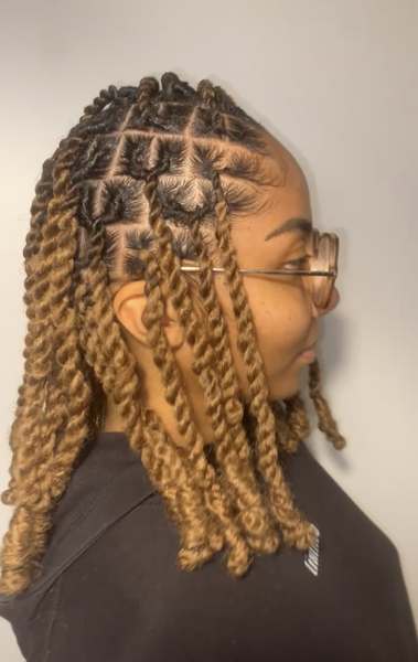 salon de coiffure afro tresse tresses box braids crochet braids vanilles tissages paris 75 77 78 91 92 93 94 95 NJCAYWZW
