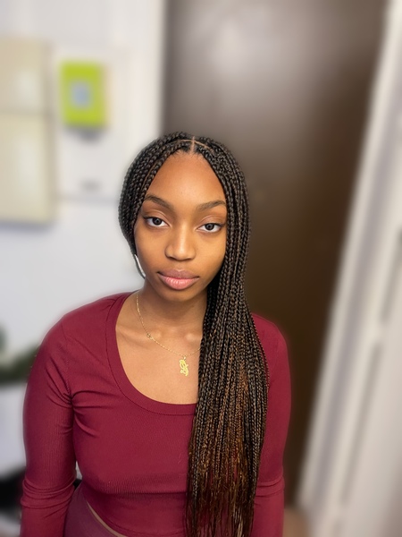 salon de coiffure afro tresse tresses box braids crochet braids vanilles tissages paris 75 77 78 91 92 93 94 95 FDWNGTDU