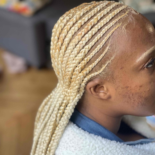 salon de coiffure afro tresse tresses box braids crochet braids vanilles tissages paris 75 77 78 91 92 93 94 95 YBTROFDF