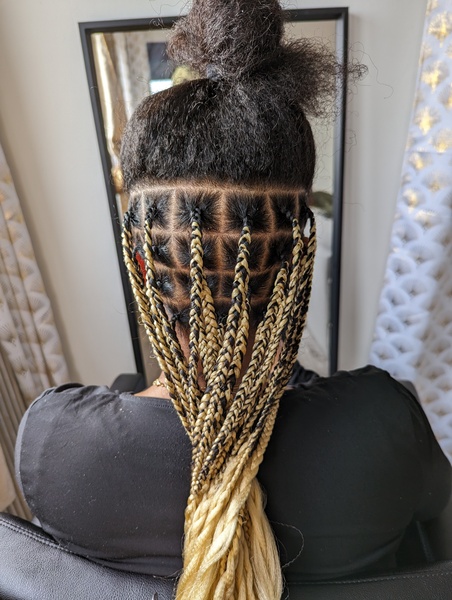 salon de coiffure afro tresse tresses box braids crochet braids vanilles tissages paris 75 77 78 91 92 93 94 95 BFZOOYAE