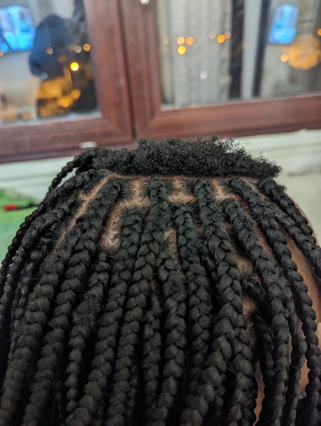 salon de coiffure afro tresse tresses box braids crochet braids vanilles tissages paris 75 77 78 91 92 93 94 95 SSAANWGU