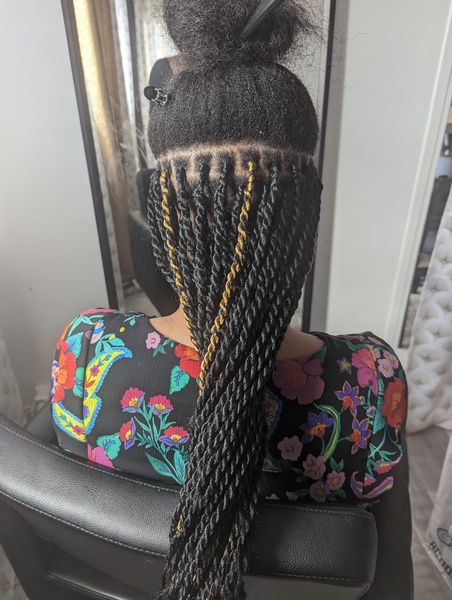 salon de coiffure afro tresse tresses box braids crochet braids vanilles tissages paris 75 77 78 91 92 93 94 95 LEWDQTPO