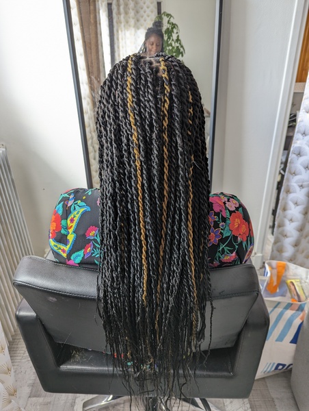 salon de coiffure afro tresse tresses box braids crochet braids vanilles tissages paris 75 77 78 91 92 93 94 95 SKHRHKAP