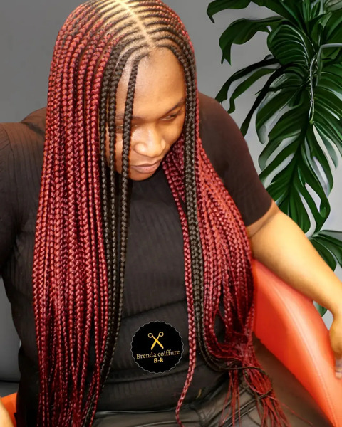 salon de coiffure afro tresse tresses box braids crochet braids vanilles tissages paris 75 77 78 91 92 93 94 95 SMSWWGDB