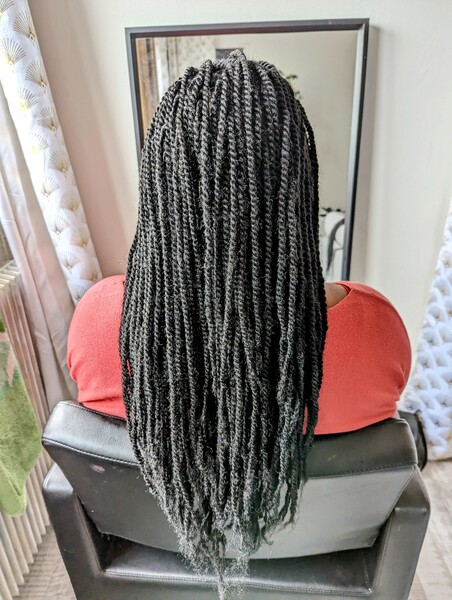salon de coiffure afro tresse tresses box braids crochet braids vanilles tissages paris 75 77 78 91 92 93 94 95 NXJIDEEG