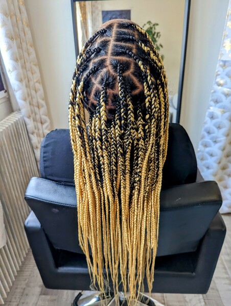 salon de coiffure afro tresse tresses box braids crochet braids vanilles tissages paris 75 77 78 91 92 93 94 95 QXPMRKUQ