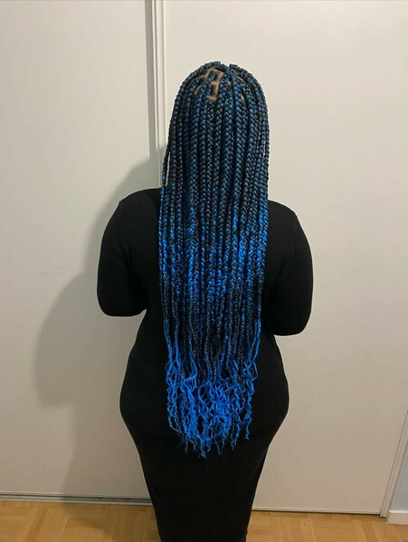 salon de coiffure afro tresse tresses box braids crochet braids vanilles tissages paris 75 77 78 91 92 93 94 95 OMVKDJFV