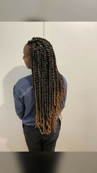 salon de coiffure afro tresse tresses box braids crochet braids vanilles tissages paris 75 77 78 91 92 93 94 95 BJUAMBKL