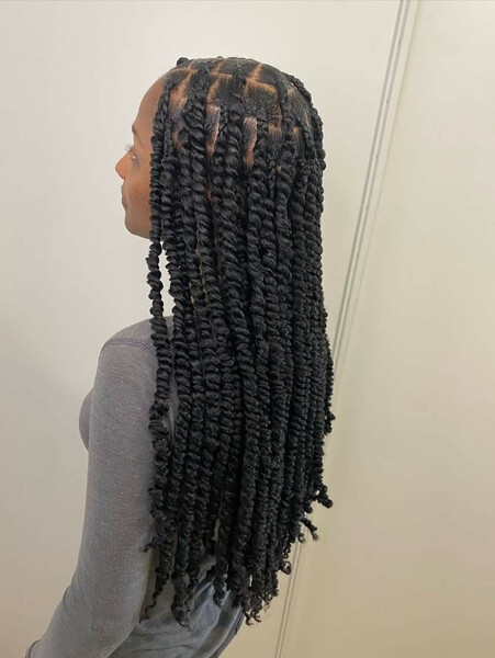 salon de coiffure afro tresse tresses box braids crochet braids vanilles tissages paris 75 77 78 91 92 93 94 95 UUOGTNAO