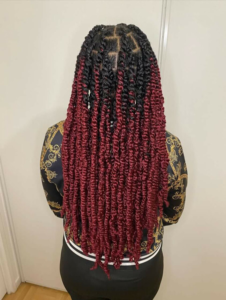 salon de coiffure afro tresse tresses box braids crochet braids vanilles tissages paris 75 77 78 91 92 93 94 95 TBBCRTKO