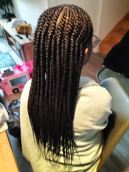 salon de coiffure afro tresse tresses box braids crochet braids vanilles tissages paris 75 77 78 91 92 93 94 95 RYTDUFIP