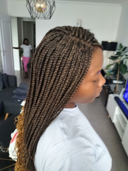 salon de coiffure afro tresse tresses box braids crochet braids vanilles tissages paris 75 77 78 91 92 93 94 95 AILYGGOY