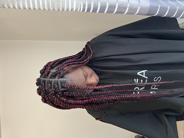 salon de coiffure afro tresse tresses box braids crochet braids vanilles tissages paris 75 77 78 91 92 93 94 95 SFKHVFED