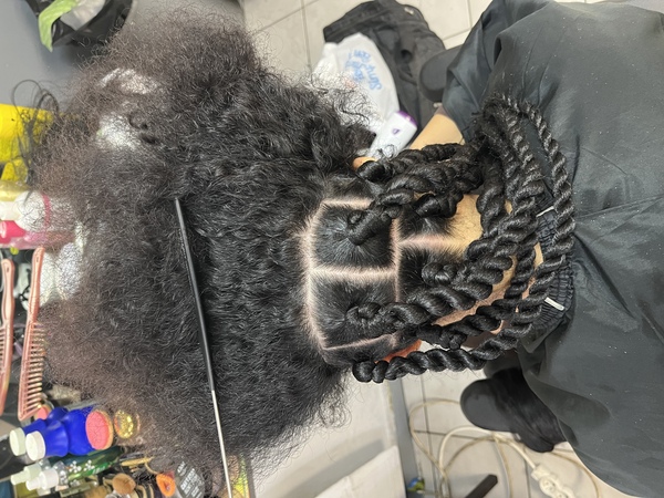 salon de coiffure afro tresse tresses box braids crochet braids vanilles tissages paris 75 77 78 91 92 93 94 95 SKSVNPFZ