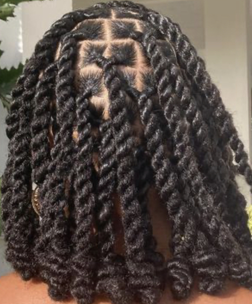 salon de coiffure afro tresse tresses box braids crochet braids vanilles tissages paris 75 77 78 91 92 93 94 95 WINFFQHE