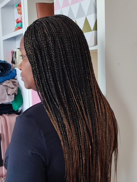 salon de coiffure afro tresse tresses box braids crochet braids vanilles tissages paris 75 77 78 91 92 93 94 95 AHCHWXRA