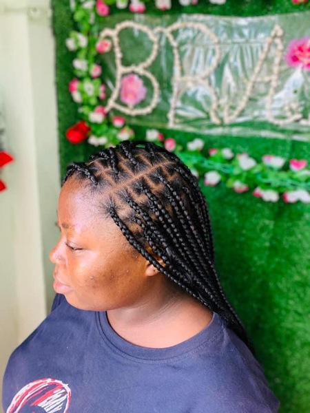 salon de coiffure afro tresse tresses box braids crochet braids vanilles tissages paris 75 77 78 91 92 93 94 95 RVFNISRW
