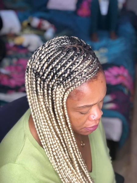 salon de coiffure afro tresse tresses box braids crochet braids vanilles tissages paris 75 77 78 91 92 93 94 95 NFILBBXS