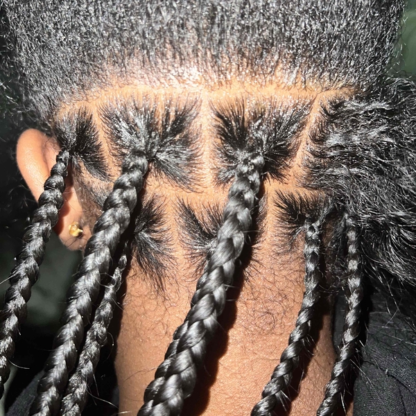 salon de coiffure afro tresse tresses box braids crochet braids vanilles tissages paris 75 77 78 91 92 93 94 95 RDDISHAW
