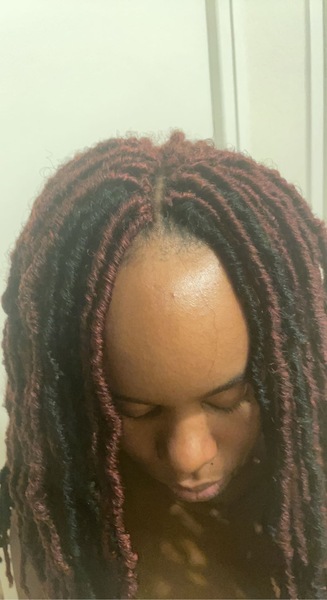 salon de coiffure afro tresse tresses box braids crochet braids vanilles tissages paris 75 77 78 91 92 93 94 95 TILYWQFB