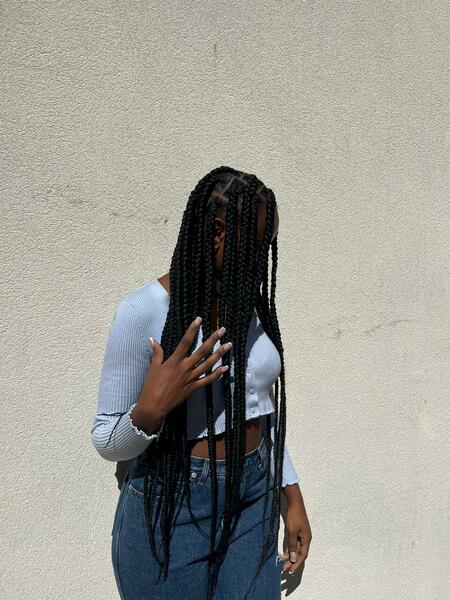salon de coiffure afro tresse tresses box braids crochet braids vanilles tissages paris 75 77 78 91 92 93 94 95 VJTTILKY