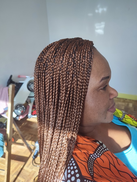 salon de coiffure afro tresse tresses box braids crochet braids vanilles tissages paris 75 77 78 91 92 93 94 95 ALQAXUWE