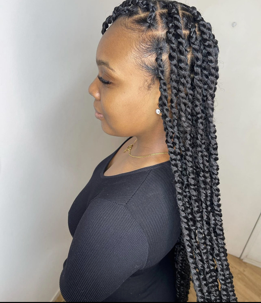 salon de coiffure afro tresse tresses box braids crochet braids vanilles tissages paris 75 77 78 91 92 93 94 95 CWIPUJTN