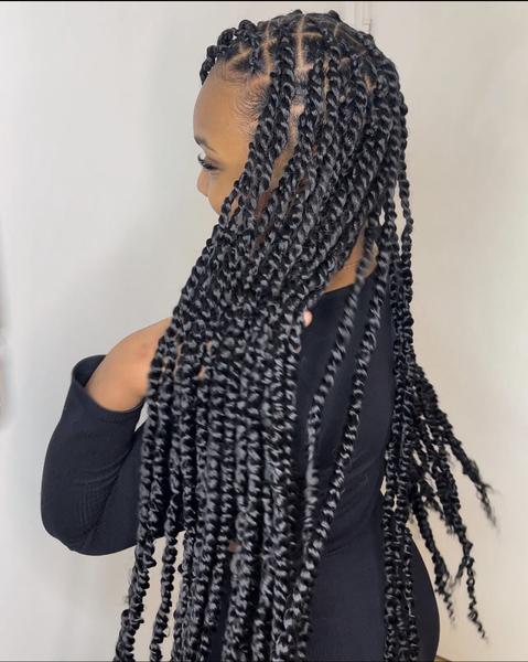 salon de coiffure afro tresse tresses box braids crochet braids vanilles tissages paris 75 77 78 91 92 93 94 95 PVJEGRLS
