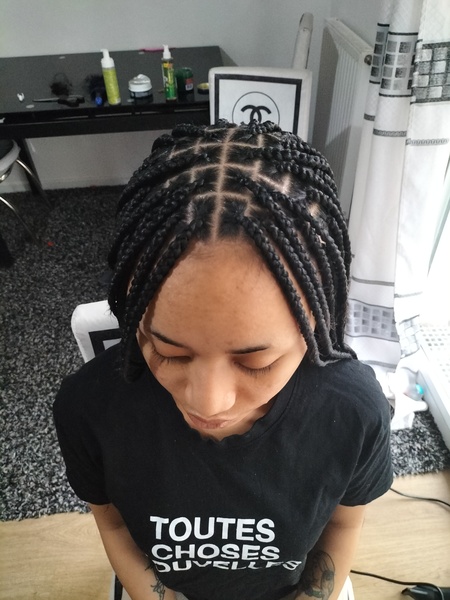 salon de coiffure afro tresse tresses box braids crochet braids vanilles tissages paris 75 77 78 91 92 93 94 95 NPGIOCQB