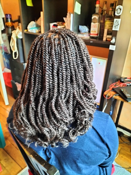 salon de coiffure afro tresse tresses box braids crochet braids vanilles tissages paris 75 77 78 91 92 93 94 95 DXLGDREZ