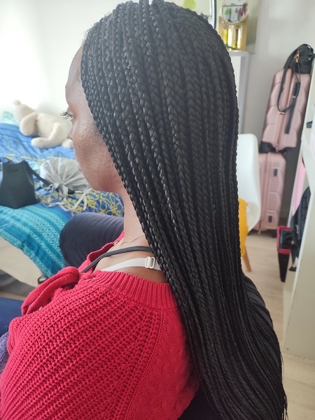 salon de coiffure afro tresse tresses box braids crochet braids vanilles tissages paris 75 77 78 91 92 93 94 95 AABYFOOE