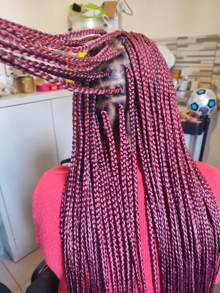 salon de coiffure afro tresse tresses box braids crochet braids vanilles tissages paris 75 77 78 91 92 93 94 95 YGYGSXSP