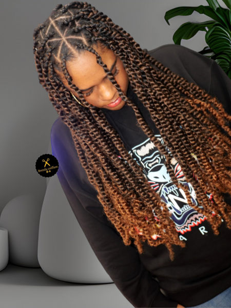 salon de coiffure afro tresse tresses box braids crochet braids vanilles tissages paris 75 77 78 91 92 93 94 95 FQVDQNJP