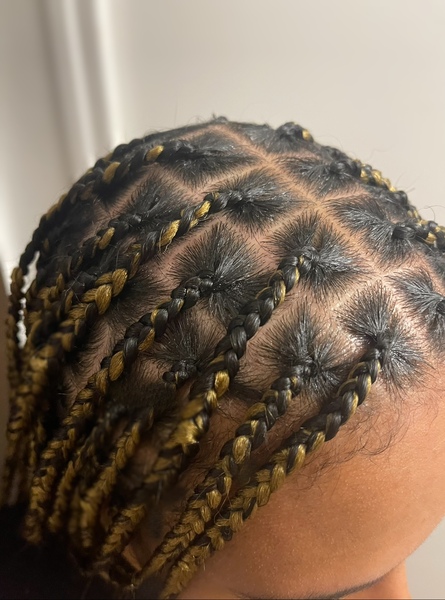 salon de coiffure afro tresse tresses box braids crochet braids vanilles tissages paris 75 77 78 91 92 93 94 95 UEJFYKHS