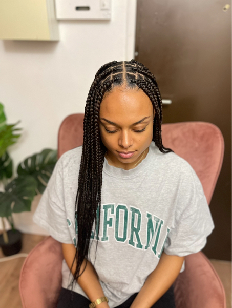 salon de coiffure afro tresse tresses box braids crochet braids vanilles tissages paris 75 77 78 91 92 93 94 95 JOOWMQMY