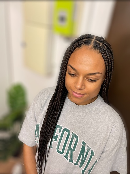 salon de coiffure afro tresse tresses box braids crochet braids vanilles tissages paris 75 77 78 91 92 93 94 95 VNMWYZKH