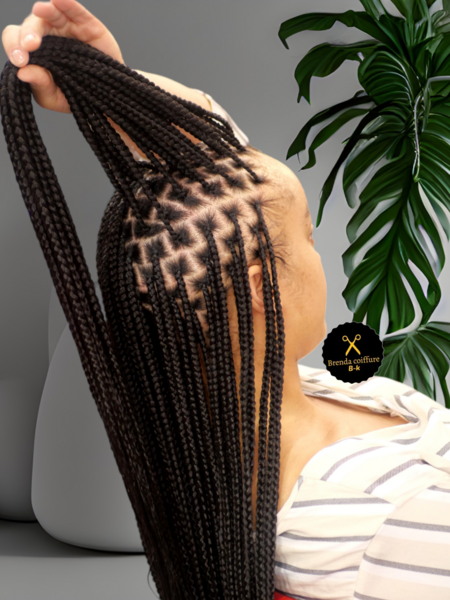 salon de coiffure afro tresse tresses box braids crochet braids vanilles tissages paris 75 77 78 91 92 93 94 95 EZLCZICC