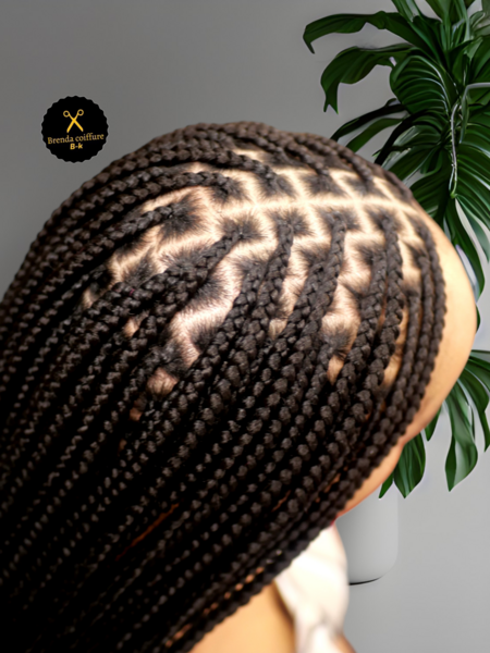 salon de coiffure afro tresse tresses box braids crochet braids vanilles tissages paris 75 77 78 91 92 93 94 95 HVNMYJWC
